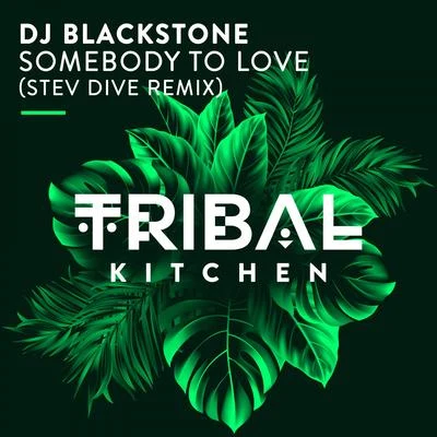 DJ Blackstone Somebody to Love (Stev Dive Remix)