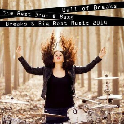 Pika/Various Artists/Gorebug/Pageant/Triatik/Andy Mac wall of breaks - the best drum bass, breaks big beat music 2014