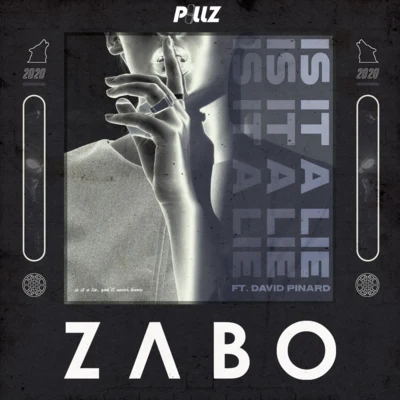 ZABO/David Pinard Is It A Lie (feat. David Pinard)