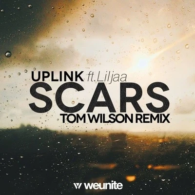 Tom Wilson Scars (Tom Wilson Remix)