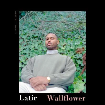 Latir Wallflower