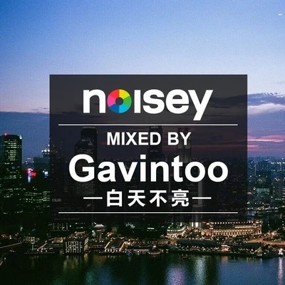 白天不亮 (Gavintoo) Noisey Summer Night Mix