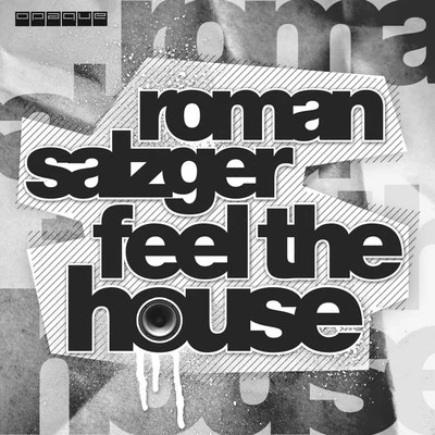 Roman Salzger Feel the House