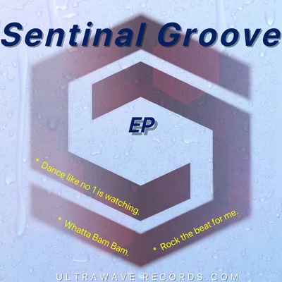 Sentinel Groove Sentinal Groove