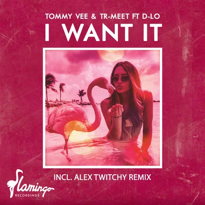 TR-MEET/Tommy Vee I Want It