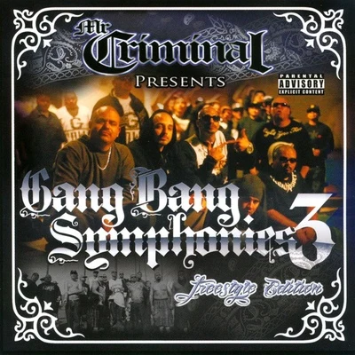 Mr. Criminal Gang Bang Symphonies, Vol. 3