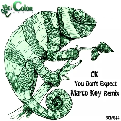 CK You Don't Expect (Marco Key Remix)