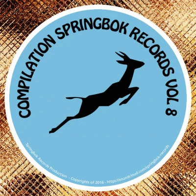 Stephane Deschezeaux Compilation Springbok Records, Vol. 8