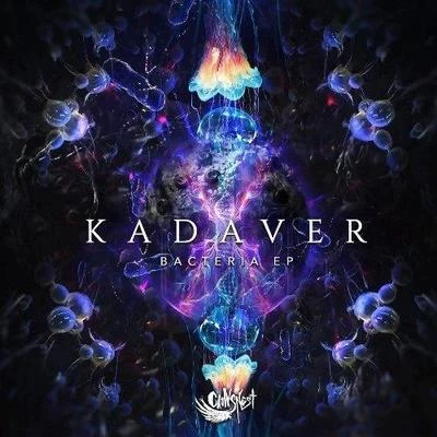 Kadaver Bacteria