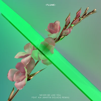 Flume Never Be Like You (feat. Kai) [Martin Solveig Remix]