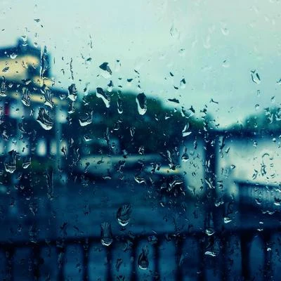 Rain Sounds/Rain Sound Studio/The Rain Library Rain Sounds Therapy: Real Rain Recordings