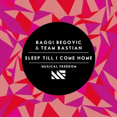 Team Bastian/Baggi Begovic Sleep Till I Come Home