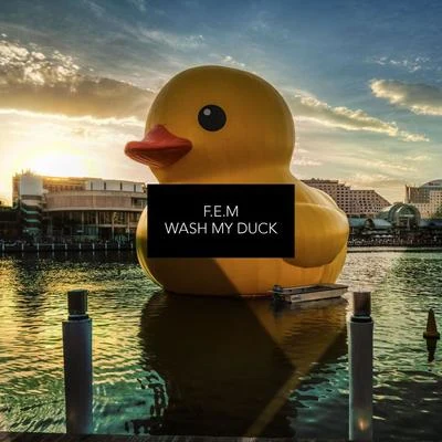 F.e.m Wash My Duck