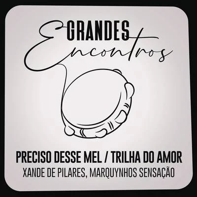 Xande de Pilares/Grandes Encontros/Marquynhos Sensação Preciso Desse MelTrilha do Amor