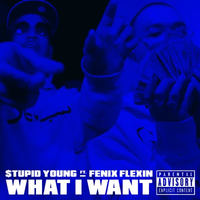 $tupid Young What I Want (feat. Fenix Flexin)