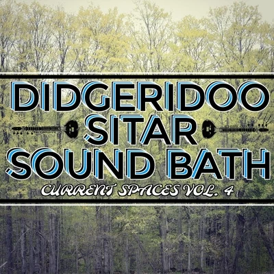 Justine Sanderson/Jay Robinson Didgeridoo Sitar Sound Bath: Current Spaces, Vol. 4