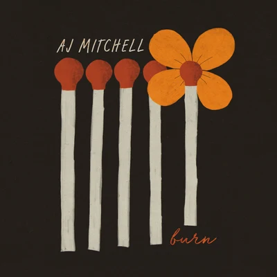 AJ MitChell Burn