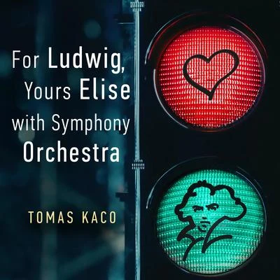 Karlovy Vary Symphony Orchestra/Jan Kučera/Tomáš Kačo For Ludwig, Yours Elise (With Symphony Orchestra)