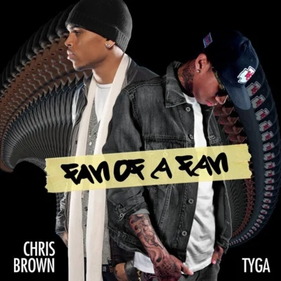 Chris Brown Fan of a Fan Mixtape