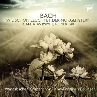 Windsbacher Knabenchor Wie schön leuchtet der Morgenstern