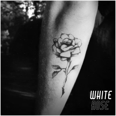 Sully White Rose