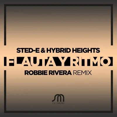 Sted-E & Hybrid Heights Flauta y Ritmo