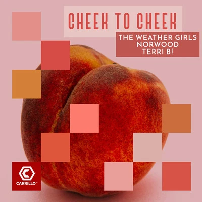 Terri B!/Norwood/The Weather Girls Cheek to Cheek (Mixes)