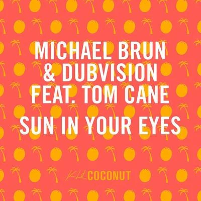 Michael Brun Sun in Your Eyes