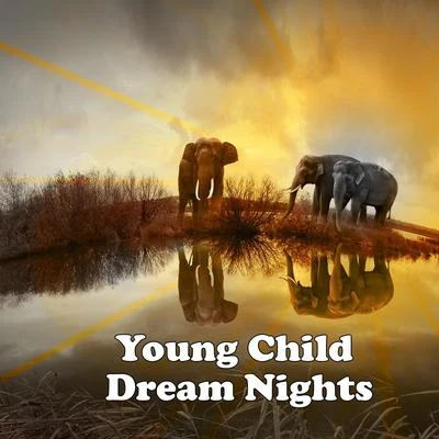 Baby Lullaby/Lullaby Land/Baby Sleep Through the Night Young Child Dream Nights