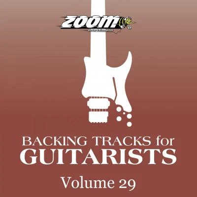 John Taylor/Zoom Entertainments Limited/Izzy Stradlin/Bob Dylan/Duff McKagans Loaded Backing Tracks for Guitarists, Vol. 29