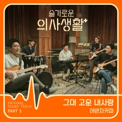 Urban Zakapa 슬기로운 의사생활 OST Part 5