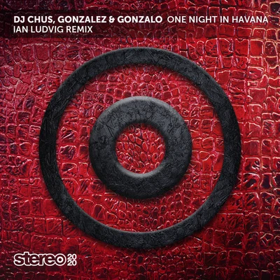 Ian Ludvig/Dj Chus/Gonzalez & Gonzalo One Night in Havana (Ian Ludvig Remix)