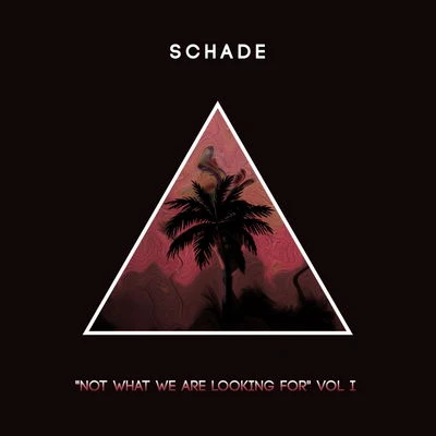 Schade Not What We Are Looking For [Volume 1]