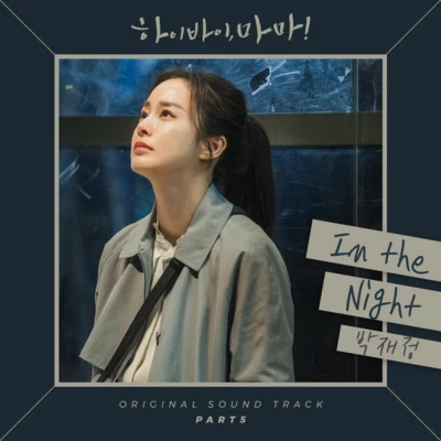 樸載正 하이바이, 마마! OST Part 5