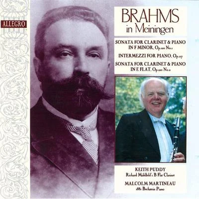 Malcolm Martineau/Keith Puddy Brahms In Meiningen