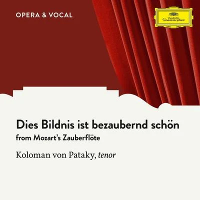 Koloman Von Pataky Mozart: Dies Bildnis ist bezaubernd schön