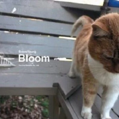 Giant Bloom