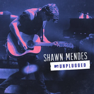 Shawn Mendes MTV Unplugged