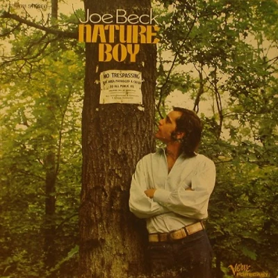 Joe Beck Nature Boy