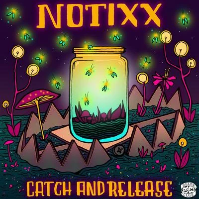 Notixx Catch & Release