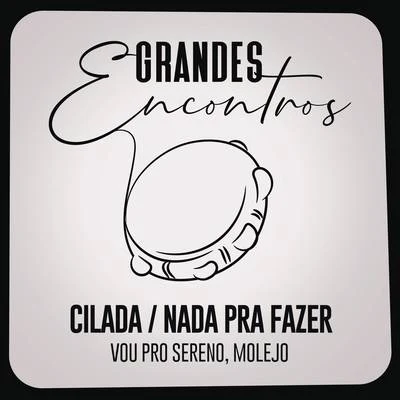 Grandes Encontros/Vou pro Sereno/Molejo CiladaNada Pra Fazer