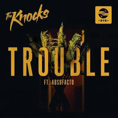 The Knocks TROUBLE