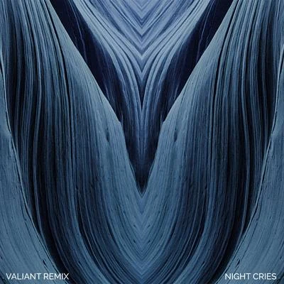 Arctic Lake Night Cries (Valiant Remix)