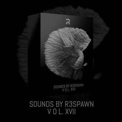 R3SPAWN Sounds by R3SPAWN Vol. 17