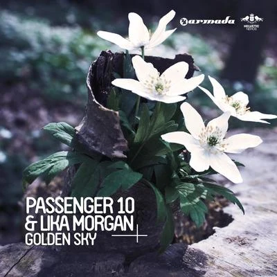 Passenger 10 Golden Sky (Remixes)