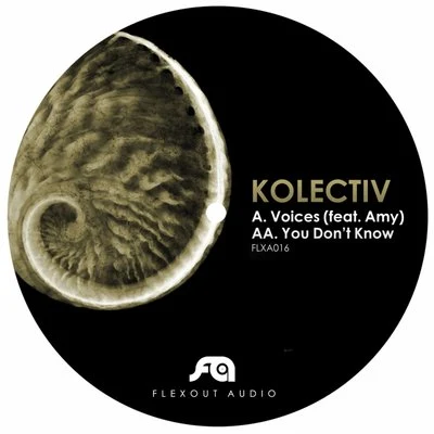 Kolectiv Voice You Don't Know