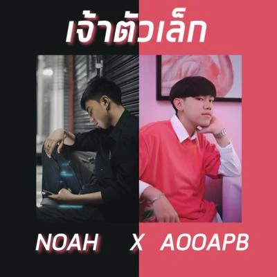 NOAH/AOOAPB เจ้าตัวเล็ก