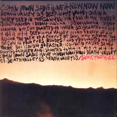 Sonic Youth Death Valley 69