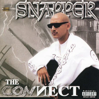 Snapper The Connect