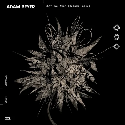 Adam Beyer What You Need (Kölsch Remix)